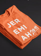 Load image into Gallery viewer, Jeremiah 29:11