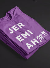 Load image into Gallery viewer, Jeremiah 29:11